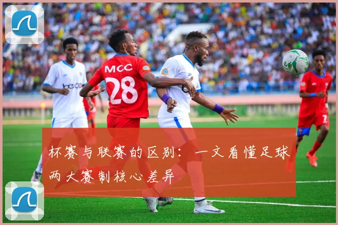 杯赛与联赛的区别：一文看懂足球两大赛制核心差异